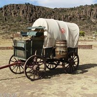 Everett Woods Photo 6