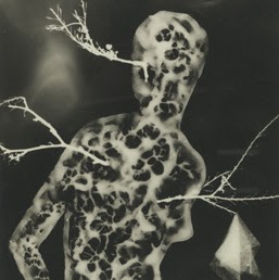 James Doerr Photo 17
