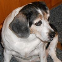 Pamela Russell Photo 37