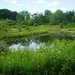 Andy Parks Photo 24
