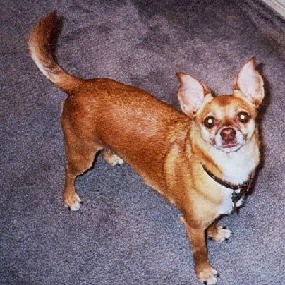 Julie Field Photo 22