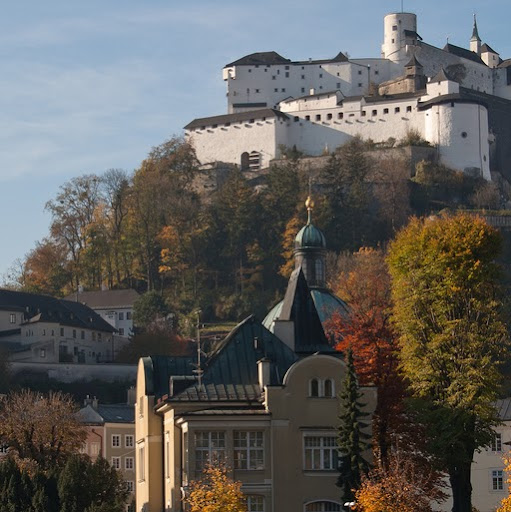 Carl Wilson Photo 37 Carl Wilson Photo 37