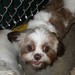 Shellie Davis Photo 5