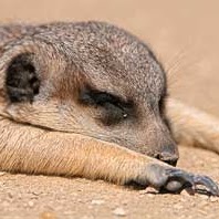 Cesar Aguilera Photo 35