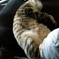 Joshua Frederick Photo 15