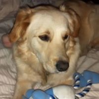 Suzanne Kemp Photo 18