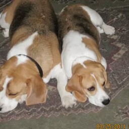 Brenda Field Photo 23