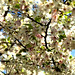 Sean Bloom Photo 24