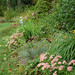 Joy Grass Photo 7