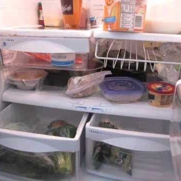 Charlie Ferraro Photo 3