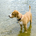 Duncan Foster Photo 24