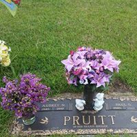 Paul Pruitt Photo 22