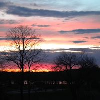 Donald Norton Photo 15