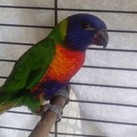 Ruth Mcmahon Photo 9