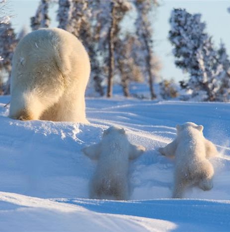 Katherine Reese Photo 18