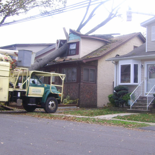 Shirley Walters Photo 1