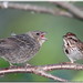 Aimee Hatch Photo 6
