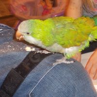 George Short Photo 14