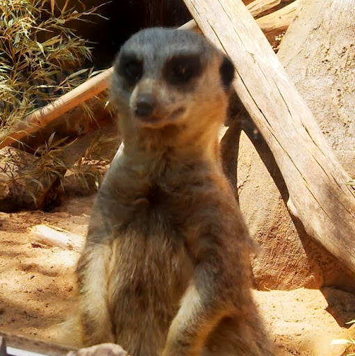 Rachelle Clark Photo 8