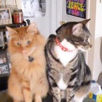 Leroy Brown Photo 2
