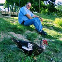 Martin Lamb Photo 31