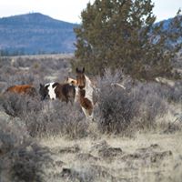 Donna Saunders Photo 22