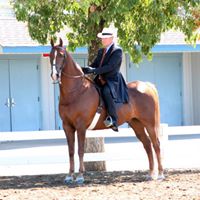 Dana Leavitt Photo 22