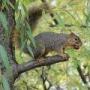 Kathy Wright Photo 5