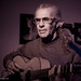 Steve Newman Photo 12