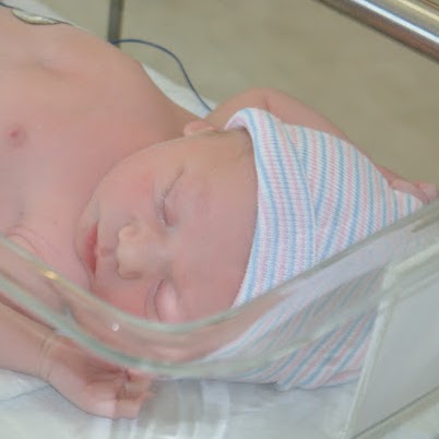 Connie Bradley Photo 17