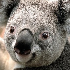 Richard Bliss Photo 44