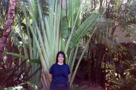 Connie King Photo 28