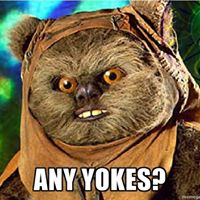 Stephen Faulkner Photo 29