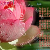 Lu Chen Photo 10 Lu Chen Photo 10