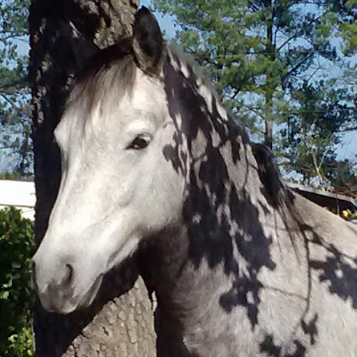 Kim Abernathy Photo 25