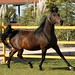 Diego Mendez Photo 16