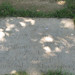 William Burrow Photo 14