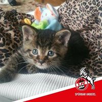 Suzanne Jacoby Photo 13