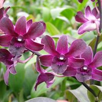 Jeff Draper Photo 33 Jeff Draper Photo 33