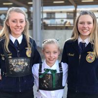 Sandra Harwell Photo 16