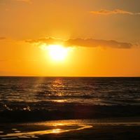 Sandra Hastings Photo 20