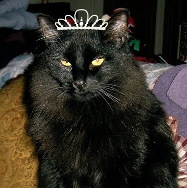 Renee Thomas Photo 7