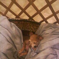 Clyde Bennett Photo 25