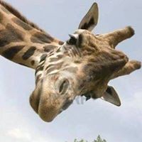 Eleanor Hubbard Photo 5