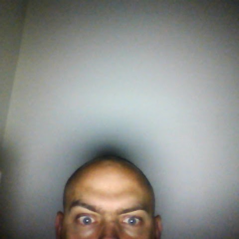 Steven Haley Photo 22