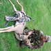 Greg Estep Photo 11