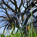 Scott Min Photo 22