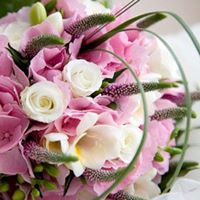 Anne Holmes Photo 15