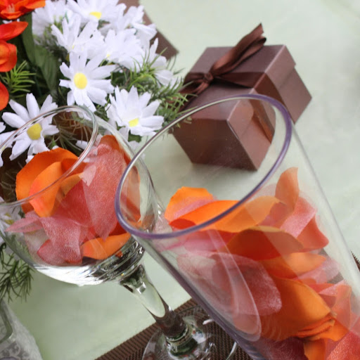 Paula Evans Photo 10