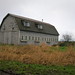 Susan Winters Photo 16